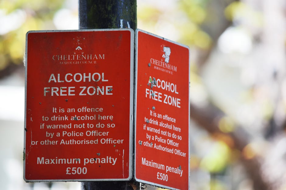 Two red Cheltenham Borough Council signs affixed to a black pole, displaying the 'Alcohol Free Zone' regulation. The signs have white text stating it is an offense to drink alcohol here if warned by a